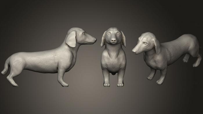 نموذج ثلاثي الأبعاد لآلة CNC التماثيل الحيوانية تنظيف Dachshund